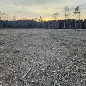 8) 66605-695dabe7a6a58