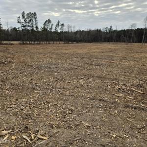 11) 66605-695dabeeacf5a