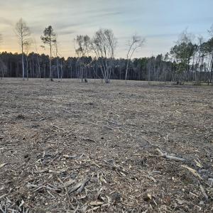 9) 66605-695dabe550a12