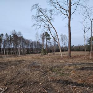 4) 66605-695dabcae1545