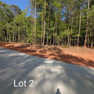 PXL_20250429_201925245~2