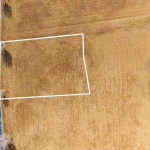 37-web-or-mls-chadwick-visuals-120-water