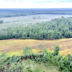 Egypt Road Northwest, Brunswick County,
