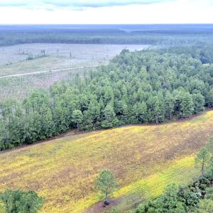 Egypt Road Northwest, Brunswick County,
