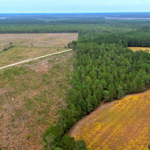 Egypt Road, Brunswick County, NC-33