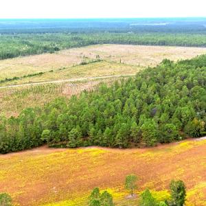 Egypt Road, Brunswick County, NC-31