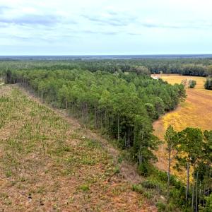 Egypt Road, Brunswick County, NC-50