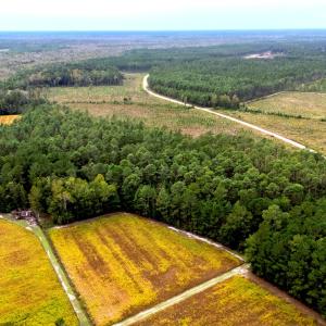 Egypt Road, Brunswick County, NC-25