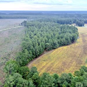 Egypt Road Northwest, Brunswick County,