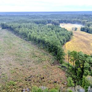 Egypt Road Northwest, Brunswick County,