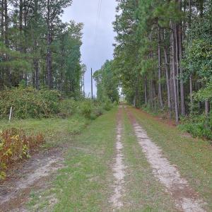 Egypt Road, Brunswick County, NC-14