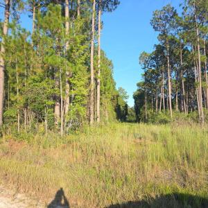 b1402fca-6cf0-41fe-994f-1b05ee7bf317