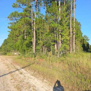 964f047f-e3ae-4931-9afd-e91a93ae272c(1)