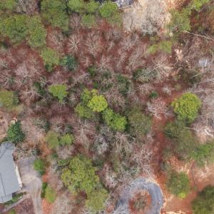 15-web-or-mls-DJI_20240201143309_0665_D