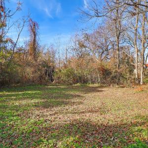 Spacious Beaufort Lot