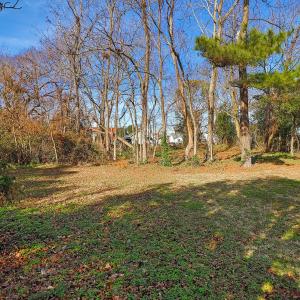 Spacious Beaufort Lot