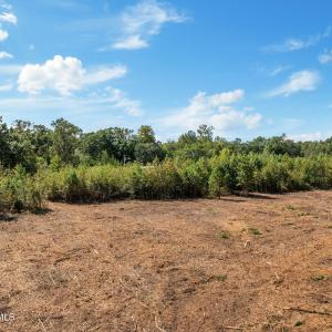 12-web-or-mls-DJI_0425