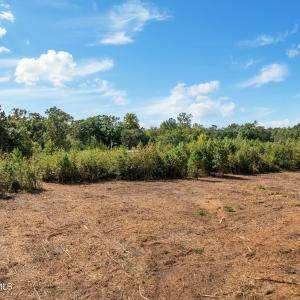 12-web-or-mls-DJI_0425