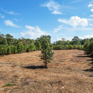 11-web-or-mls-DJI_0424