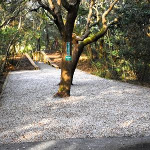 Beach Access Parking