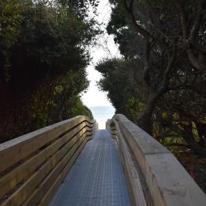 Beach Access Walkway