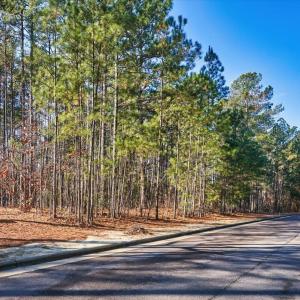 19-63 Chestertown Dr., Pinehurst_19