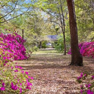 20250506161929838166000000-o