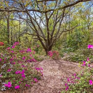 20250506161610996725000000-o