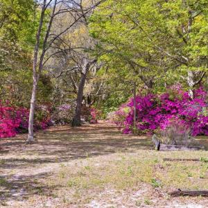 20250506161817404018000000-o