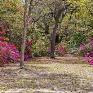 20250506161742957506000000-o