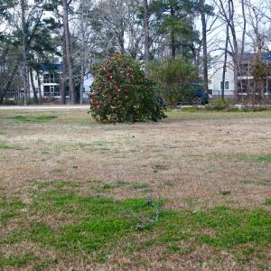 Looking toward street