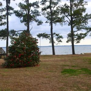 Looking toward water