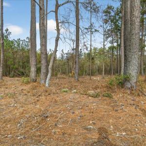 01-Finished 2162 Old Pamilco Beach Rd (1