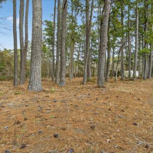 02-Finished 2162 Old Pamilco Beach Rd (2