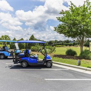 Golf Carts