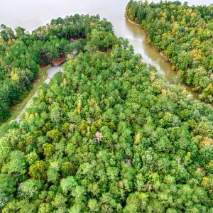 42) 66300-6961bd9e9b505