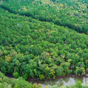 14) 66300-6961bd53dfd9a