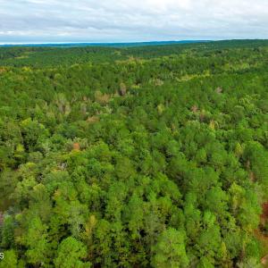 50) 66300-6961bf2c69067