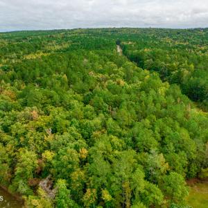 38) 66300-6961bd844d639