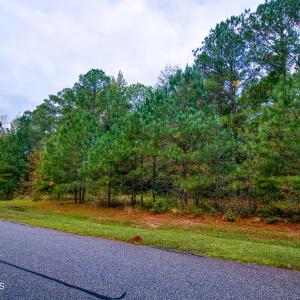 31) 66300-6961bd255d43c