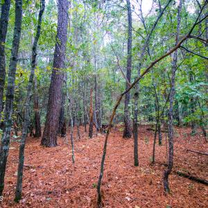 25) 66300-6961bd08156b9