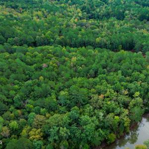 16) 66300-6961bd6a9ce8d