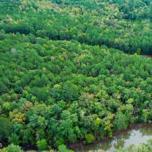 15) 66300-6961bd3ee28e5