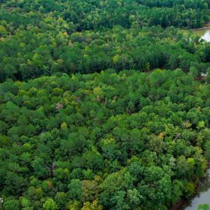 17) 66300-6961be16471de