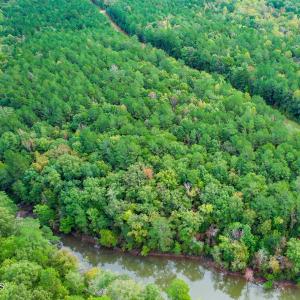 13) 66300-6961bd3a6a979