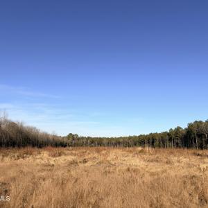 IMG_7841