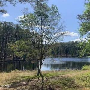 Pond View in Stones Throw