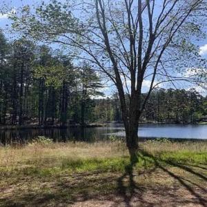 Pond View in Stones Throw
