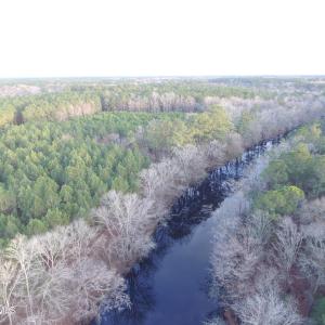 Holly Shelter Creek