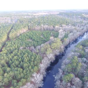 Holly Shelter Creek